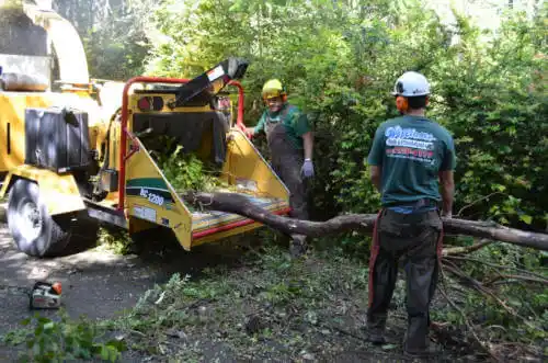 tree services New Hope